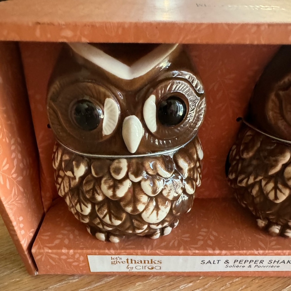New salt and pepper shaker set owls harvest table decor